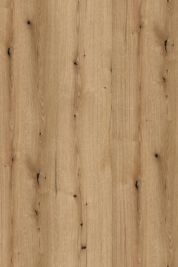 Coast Evoke Oak