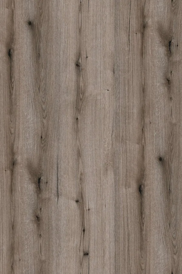 Fossil Evoke Oak